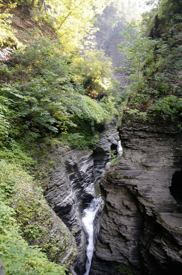 20140701_WGlen_003.JPG