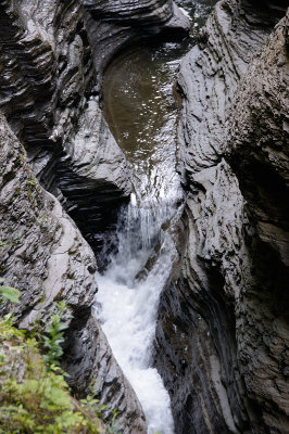 20140701_WGlen_005.JPG