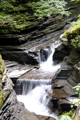 20140701_WGlen_015.JPG