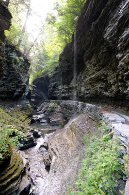20140701_WGlen_025.JPG