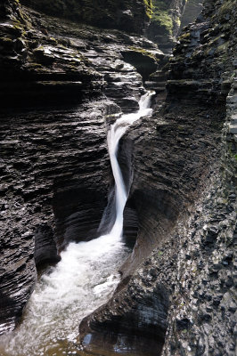 20140701_WGlen_026.JPG