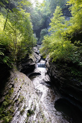 20140701_WGlen_030.JPG