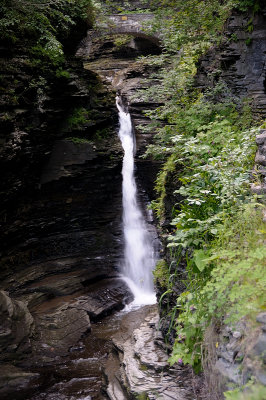 20140701_WGlen_036.JPG