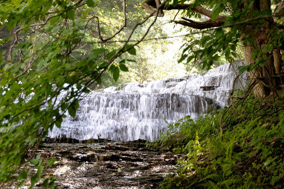 20140701_IthSyr_007.JPG