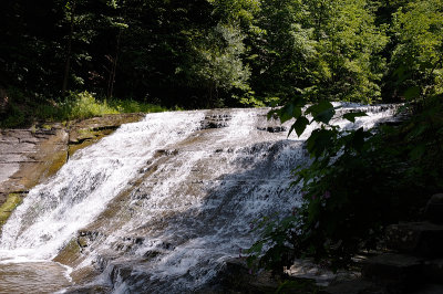 20140701_IthSyr_009.JPG