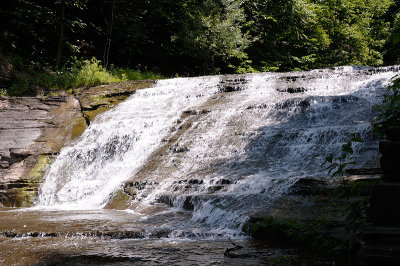 20140701_IthSyr_010.JPG