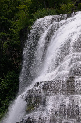 20140701_IthSyr_015.JPG