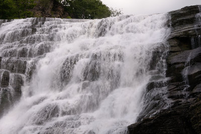 20140701_IthSyr_017.JPG