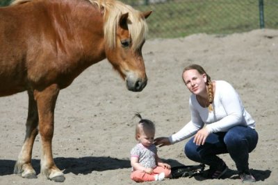 Kleine Sara en de paarden