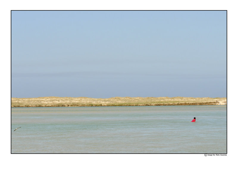 DSC_1453.jpg