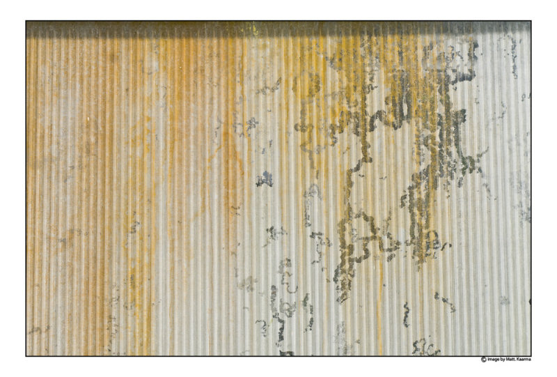 DSC_6413.jpg