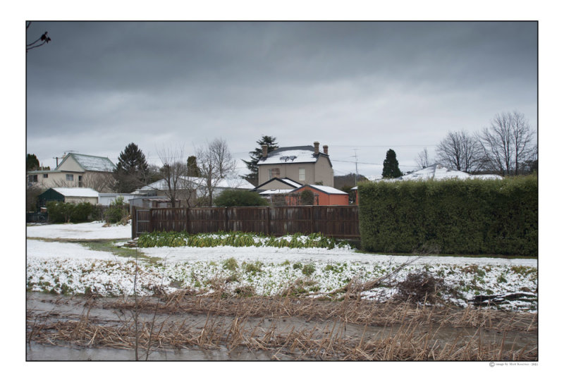 DSC_7793-Edit.jpg