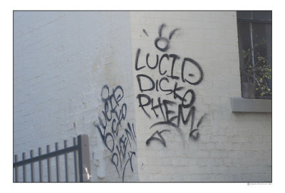 DSC_7113-Edit.jpg