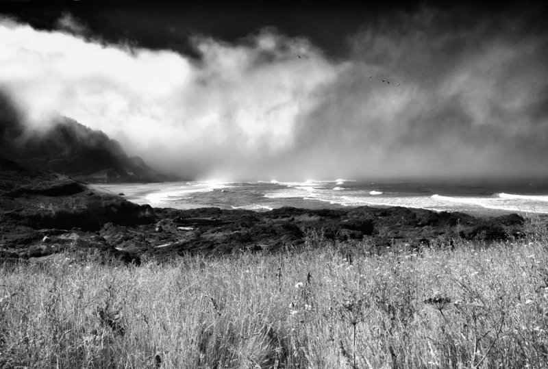 YACHATS FOG