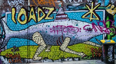 _DSC4848.jpg