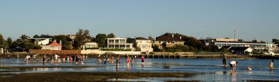 _DSC6050.jpg