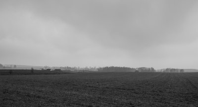 _DSC7443.jpg