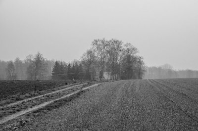_DSC7419.jpg