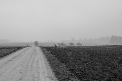 _DSC7418.jpg