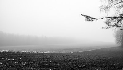 _DSC7406.jpg