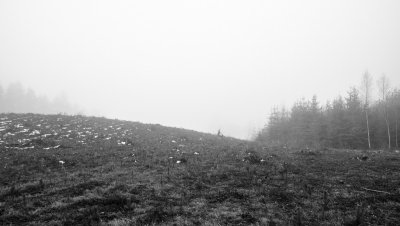 _DSC7399.jpg