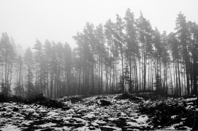 _DSC7382.jpg