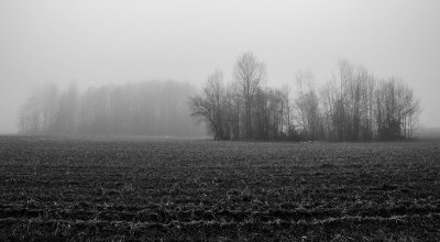 _DSC7361.jpg