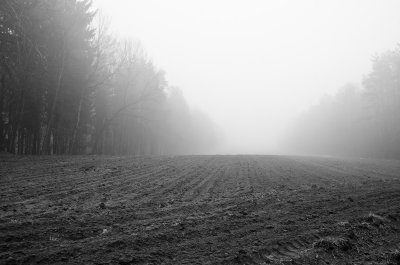 _DSC7347.jpg