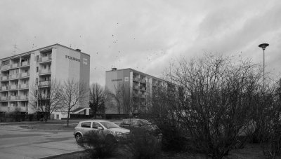 _DSC7579.jpg