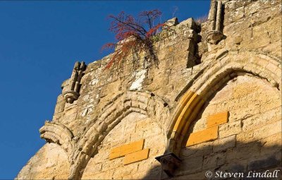 Rievaulx Abbey