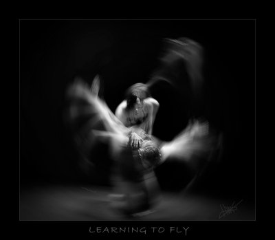 LEARNING TO FLY