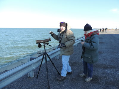 2016 CBBT HRBC BIRDERS 1.JPG