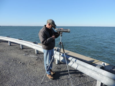 2016 CBBT HRBC BIRDERS 2.JPG