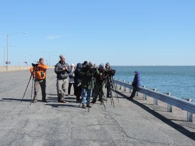 2016 CBBT HRBC BIRDERS 8.JPG