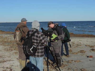 CBC Hampton 15 D.JPG