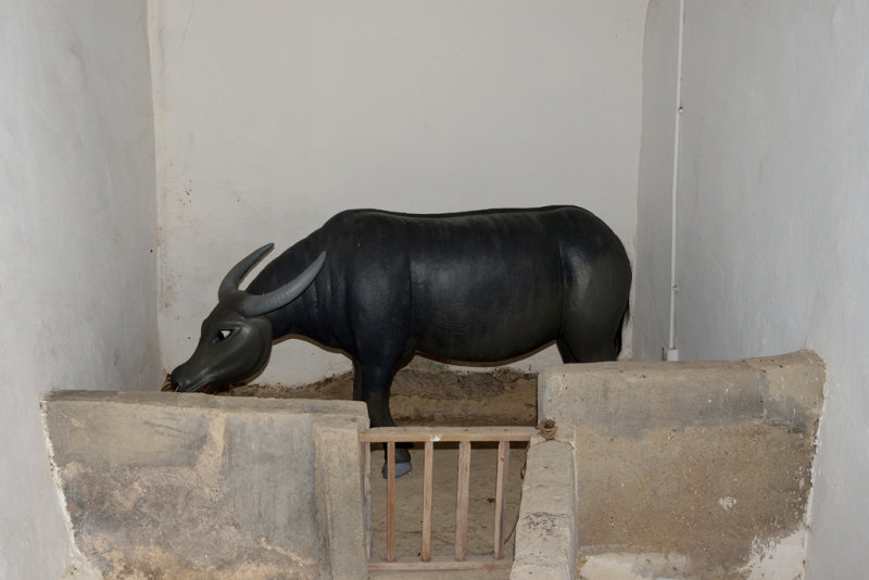 Cattle Shed