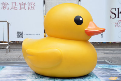 Small Duck