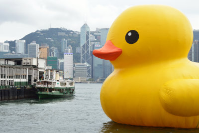 Big Duck vs Small Ferry