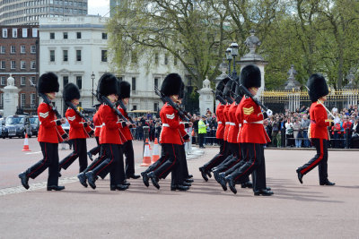 Queen's Guard Parade (3)