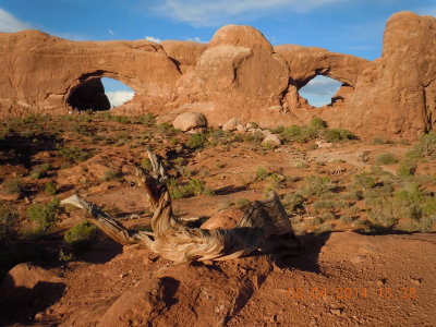 03-Arches-NP-03.jpg