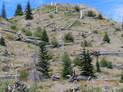 07-Mount-Saint-Helens-04.jpg
