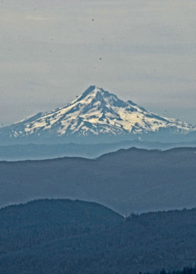 07-Mount-Saint-Helens-06-Mt-Hood.jpg
