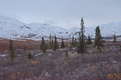 Denali-New-Snow-052.jpg