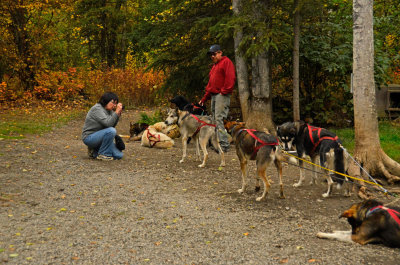 Iditarod-Race-Headquarters-883.jpg