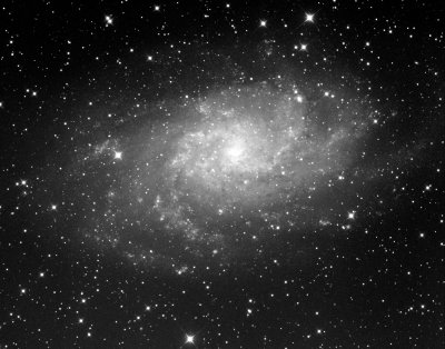 Triangulum Galaxy M33 