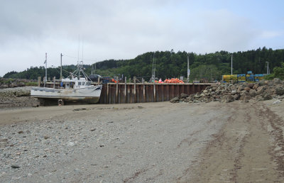 g9/92/731492/3/156996573.Ffy9TEyX.jpg