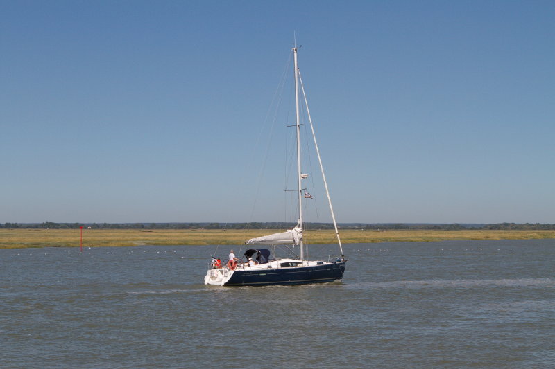 Baie de somme   Parc de Marquenterre