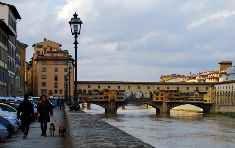 Along the Lungarno Torrigiani6115