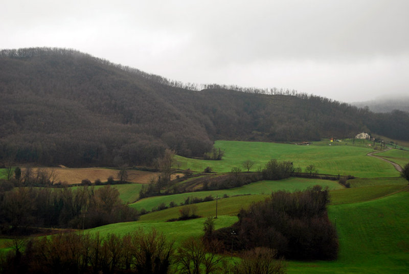 Hills Near Langhirano7743