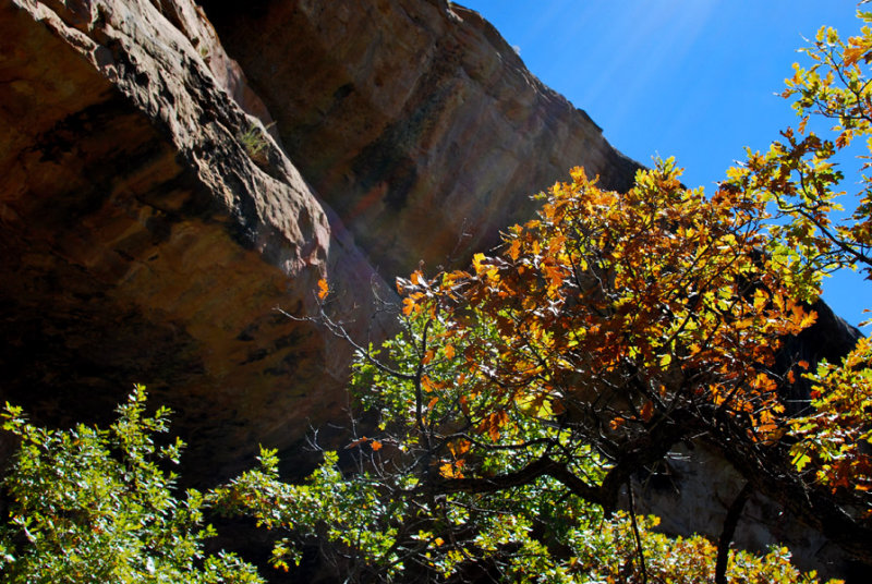 The Crest of the Cliff0382